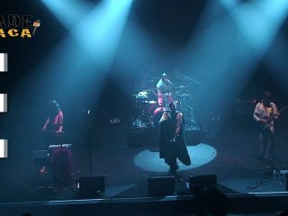 Made In Paca : Chevelure