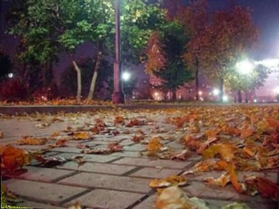 REVA MI