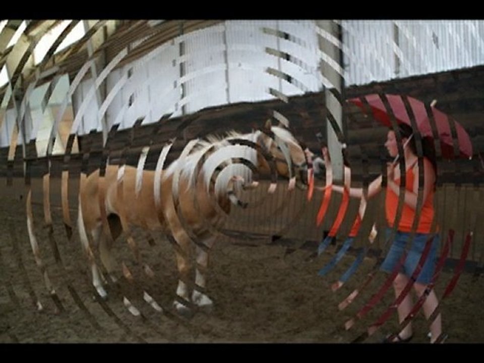 Magistral , desensibilisation