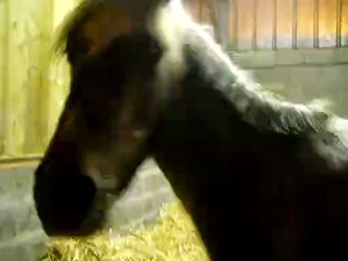 La classe de neige 2