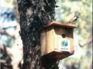 Doğa Ve Çevre Geleceğimizdir.(DOÇEV) - Video