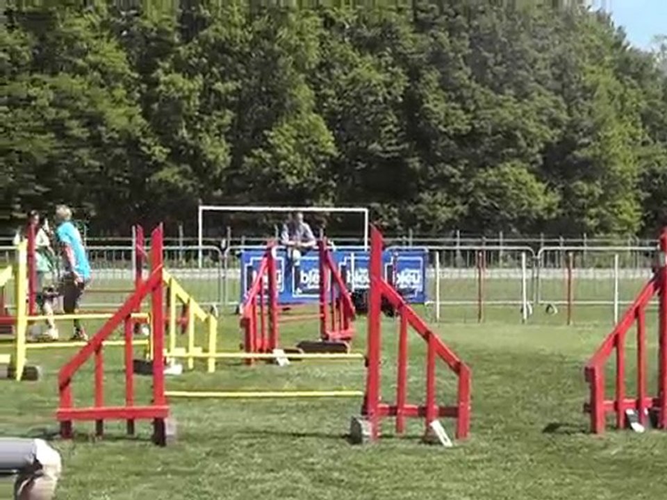 cats jump