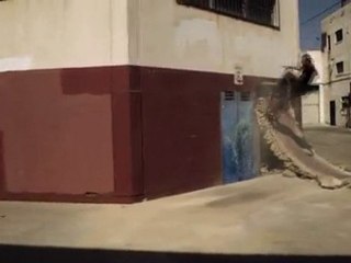 Shaun White Skateboarding