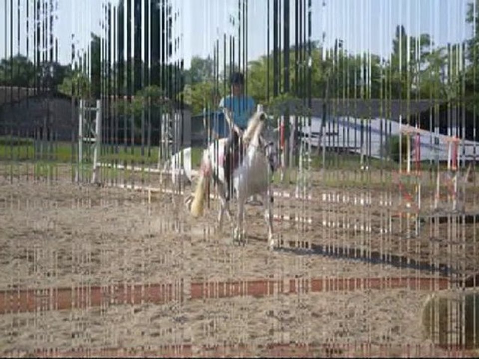 Quidam et moi deplacement latéraux
