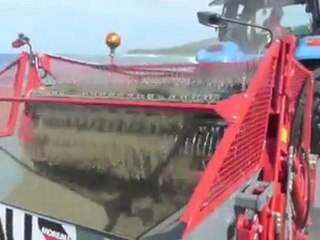 Sports Paysages Solutions,MOREAU,nettoyeur plage