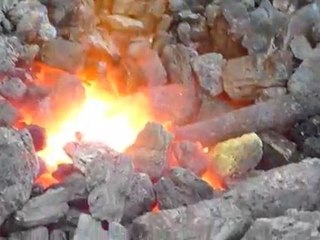 Forge portative 25 mai 2010 Biche