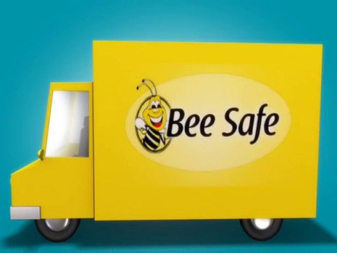 Houston Bee Removal