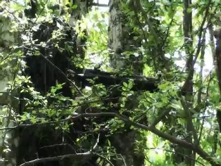 U.T.A 38 - Airsoft : 16.05.2010