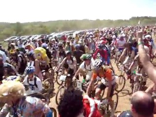 Départ crapauds 2010