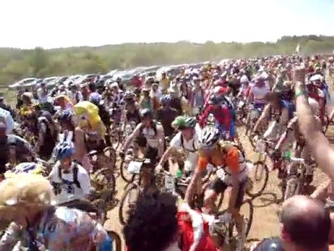 Départ crapauds 2010