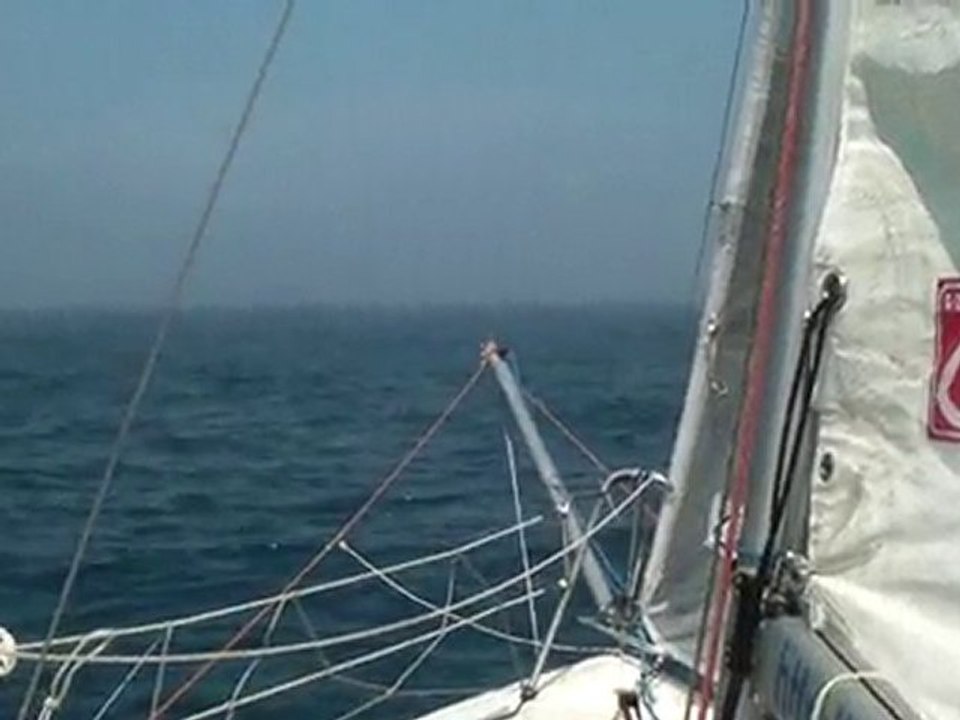 le Frioul durant les 100 milles de Port Camargue 2010