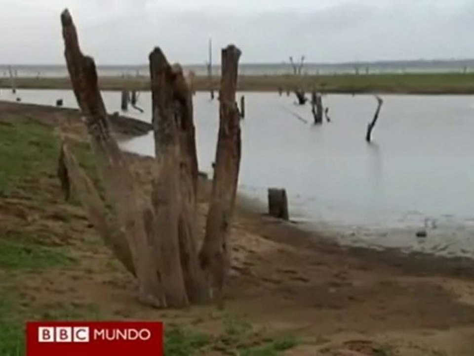 Cuba a secas