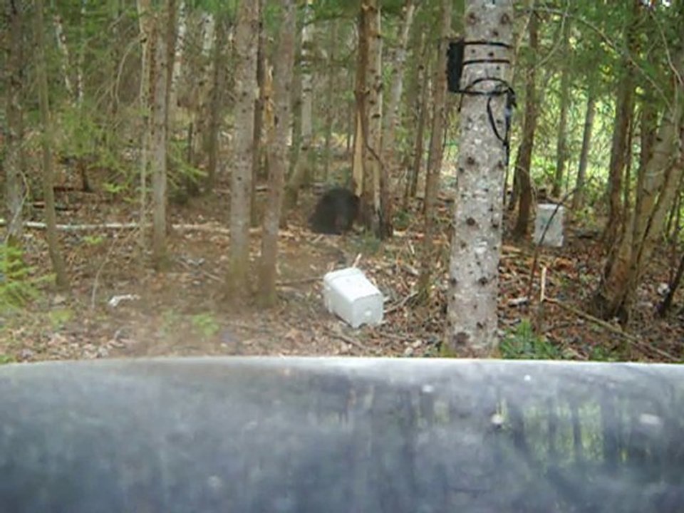 ours 2010 004