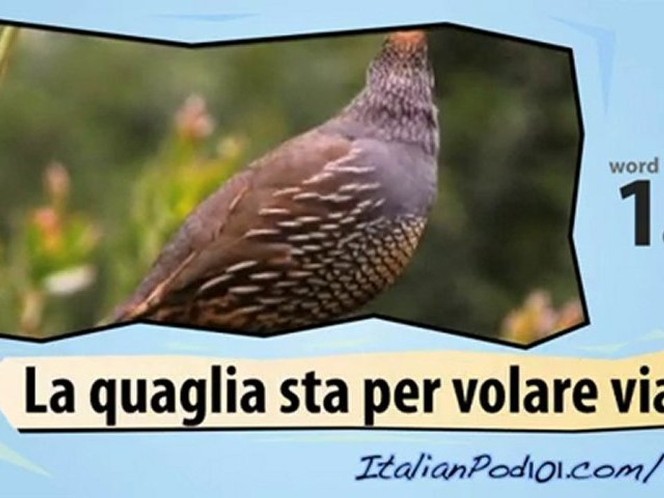 Learn Italian-Learn with Italian birds 2 video