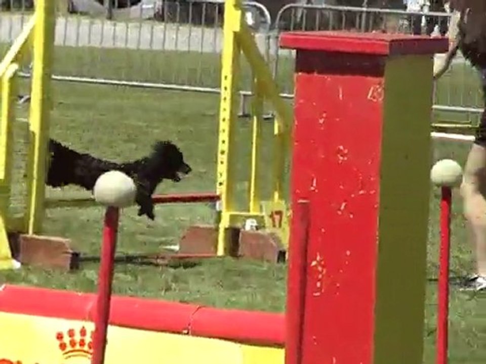 union de loin agility