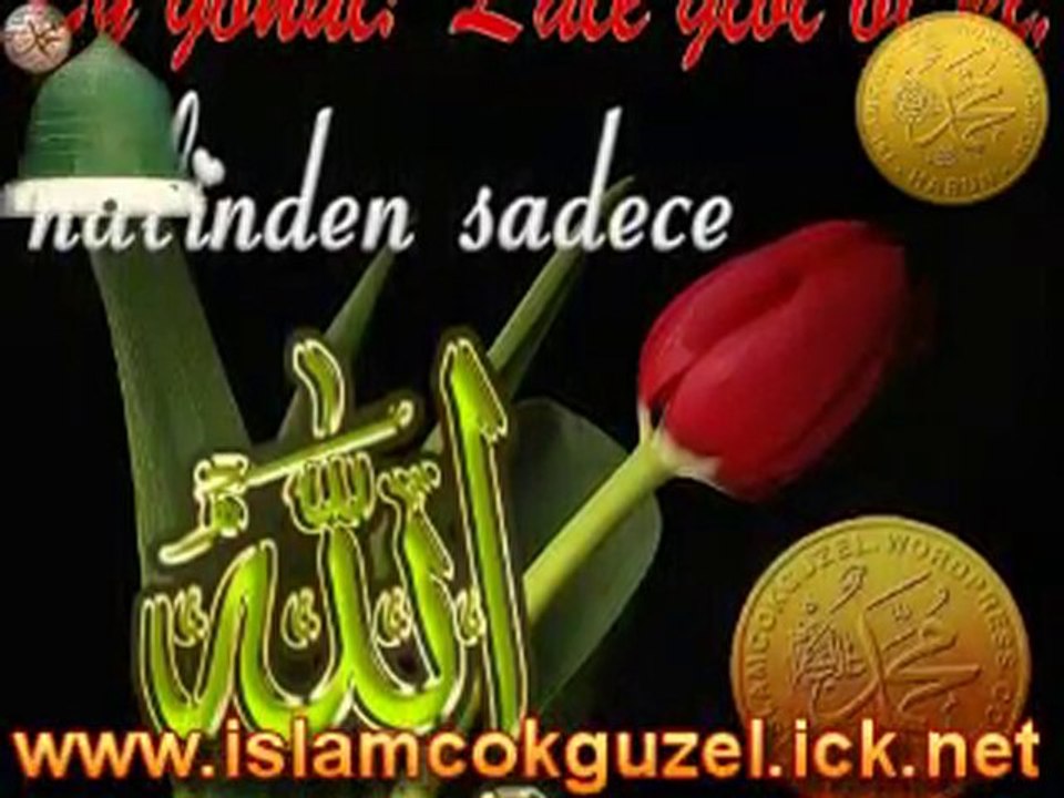 Harika Kur'an-ı Kerim Tilaveti - Bakara Suresi 186