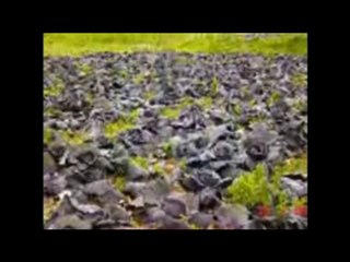 Tounes Hobbies and Interests