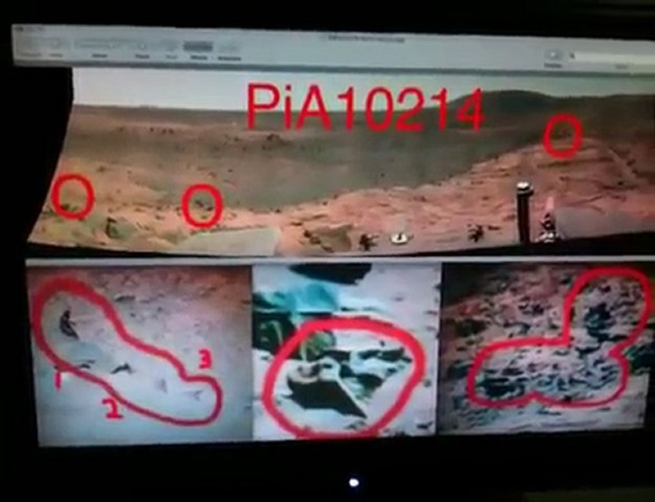 Four Alien faces of new species on in Mars Spirit Rover.