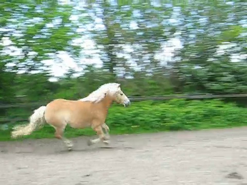 Klein 'Mo' beim Laufen und Toben
