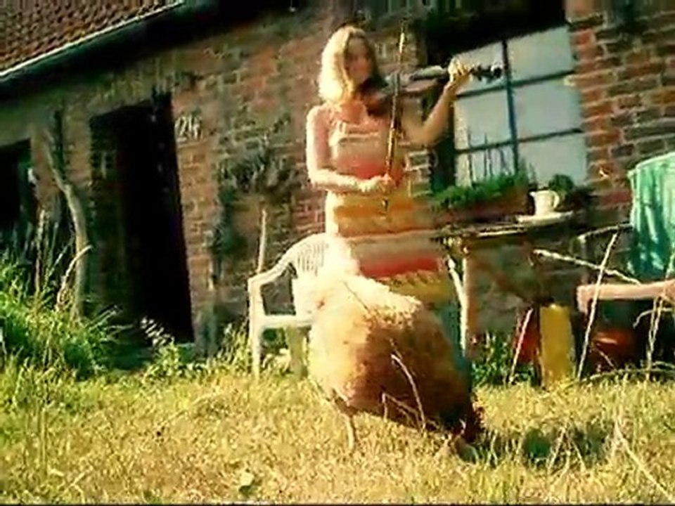 Ein Huhn fährt Auto