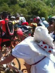 Départ crapauds 2010