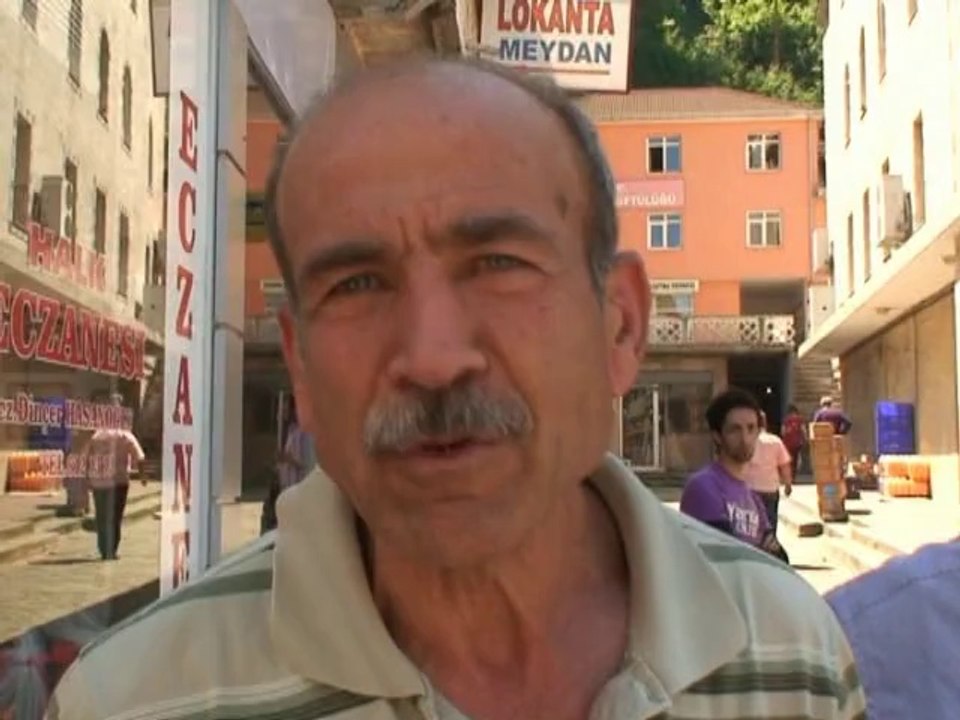 sivrisinek