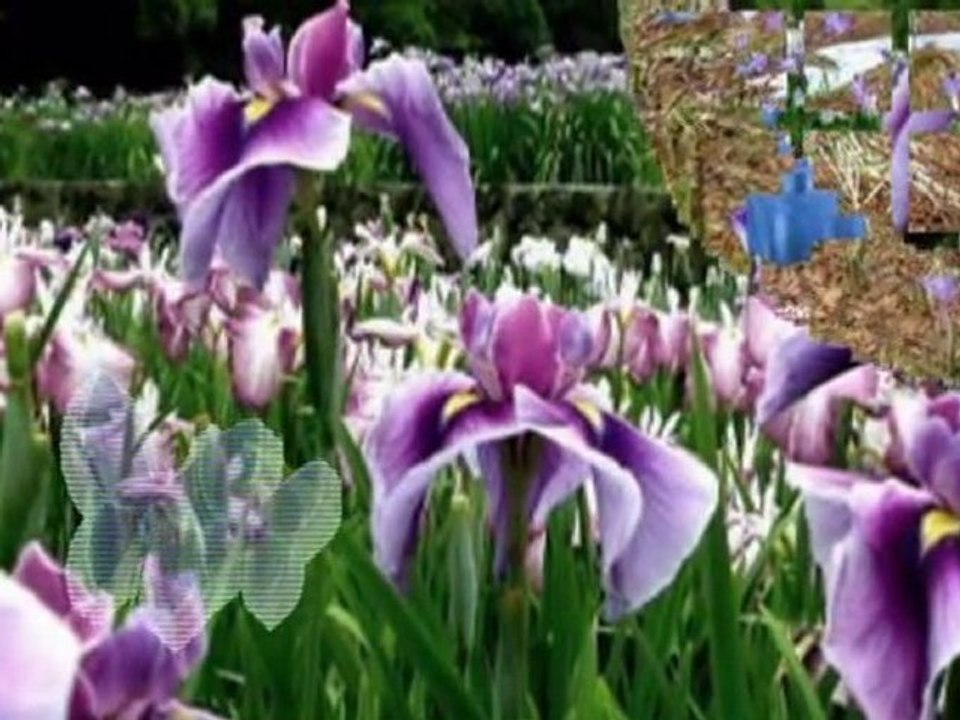 Edyta Geperd - Kocham Cię zycie.mpg