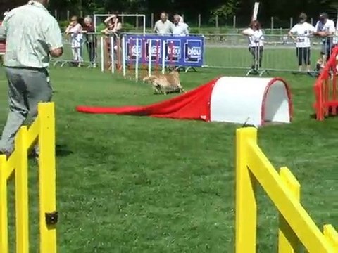 Byron jump 1 Trophée par équipe Limoges 2010