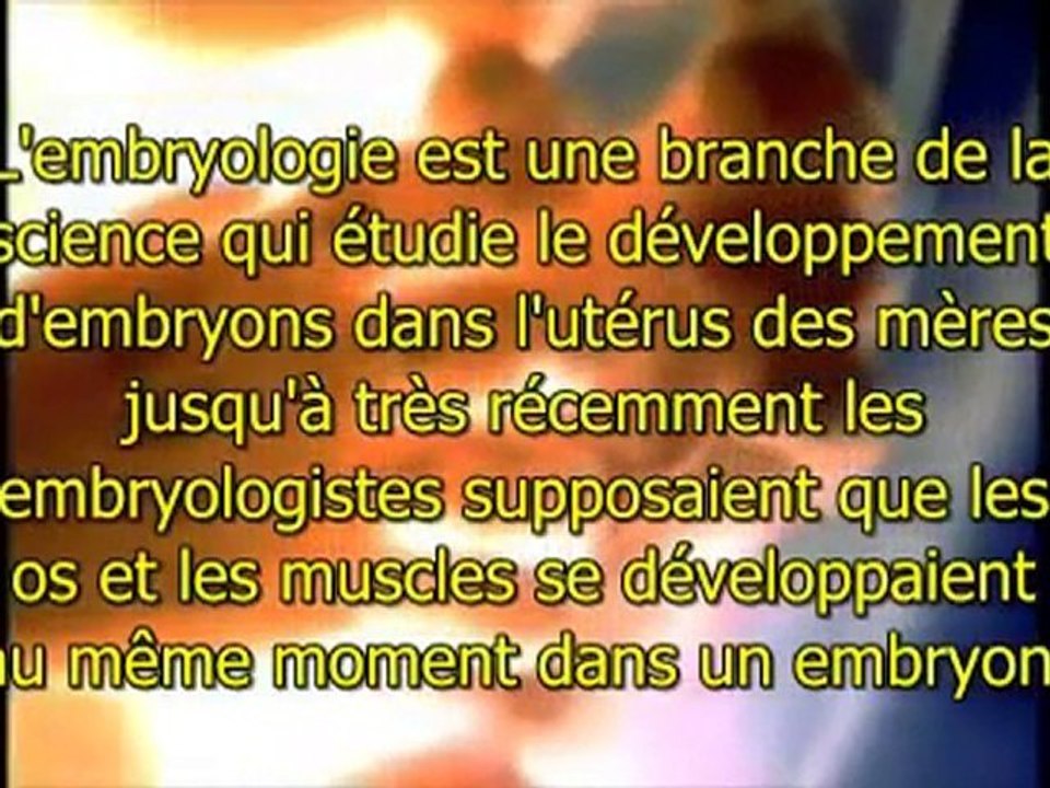 The Divine Book - Partie 6 - L Embryologie humaine - VOSTFR
