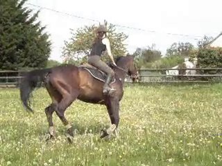 Détente à l'obstacle