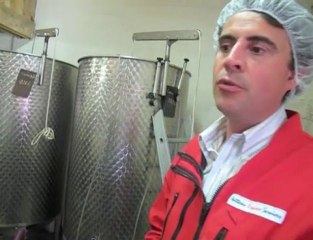 Valenciennes: au coeur du vignoble Watteau