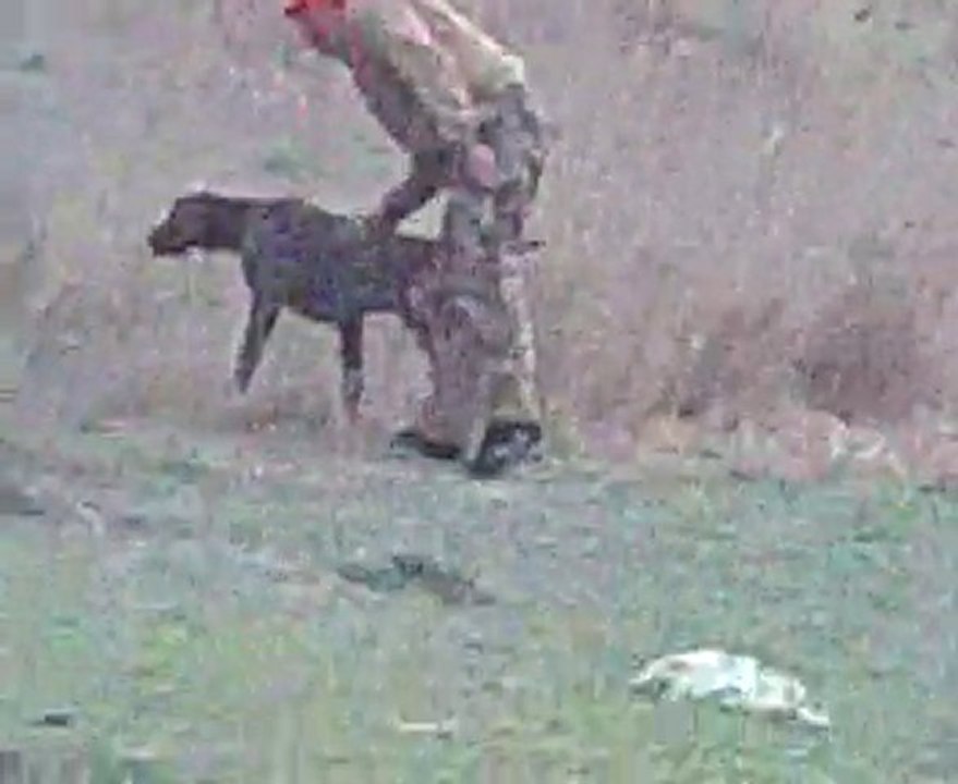 Video0016