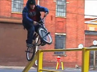 Animal Bikes Promo