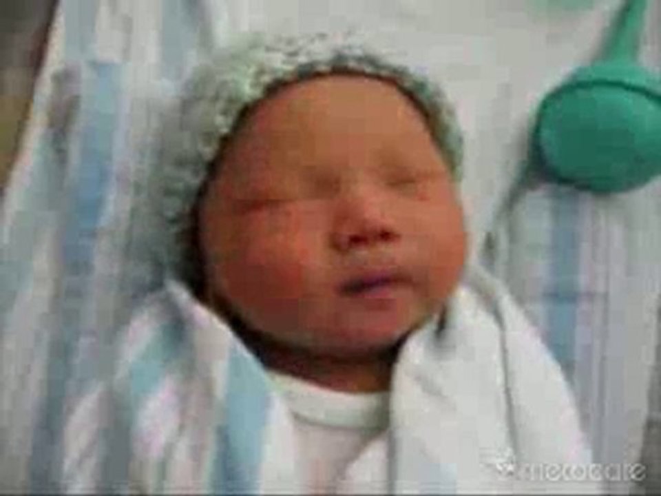 BEBEK
