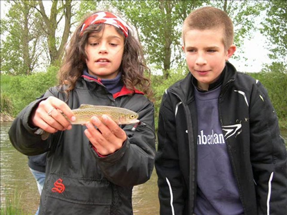 peces