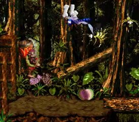 DKC2 Jungle Jinx