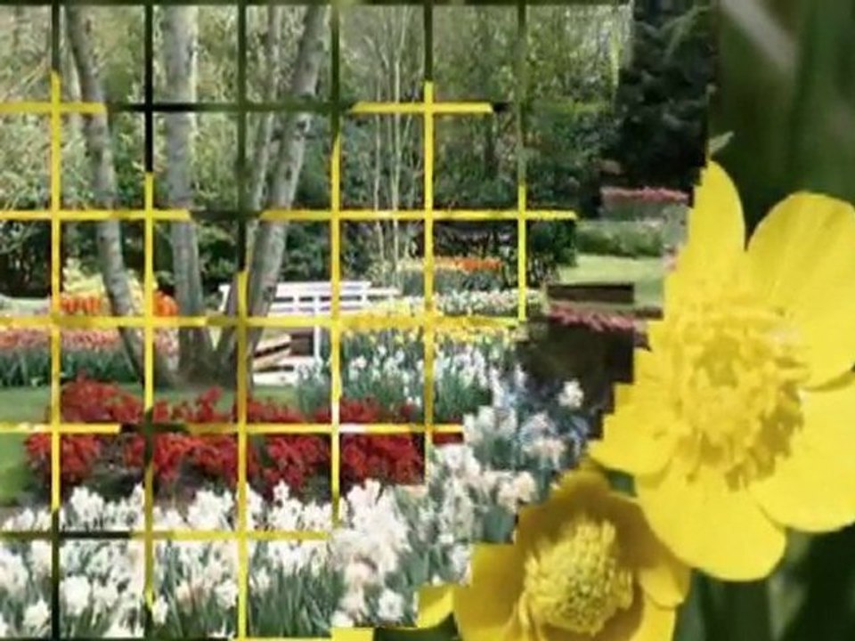 Serenada - Shubert.mpg