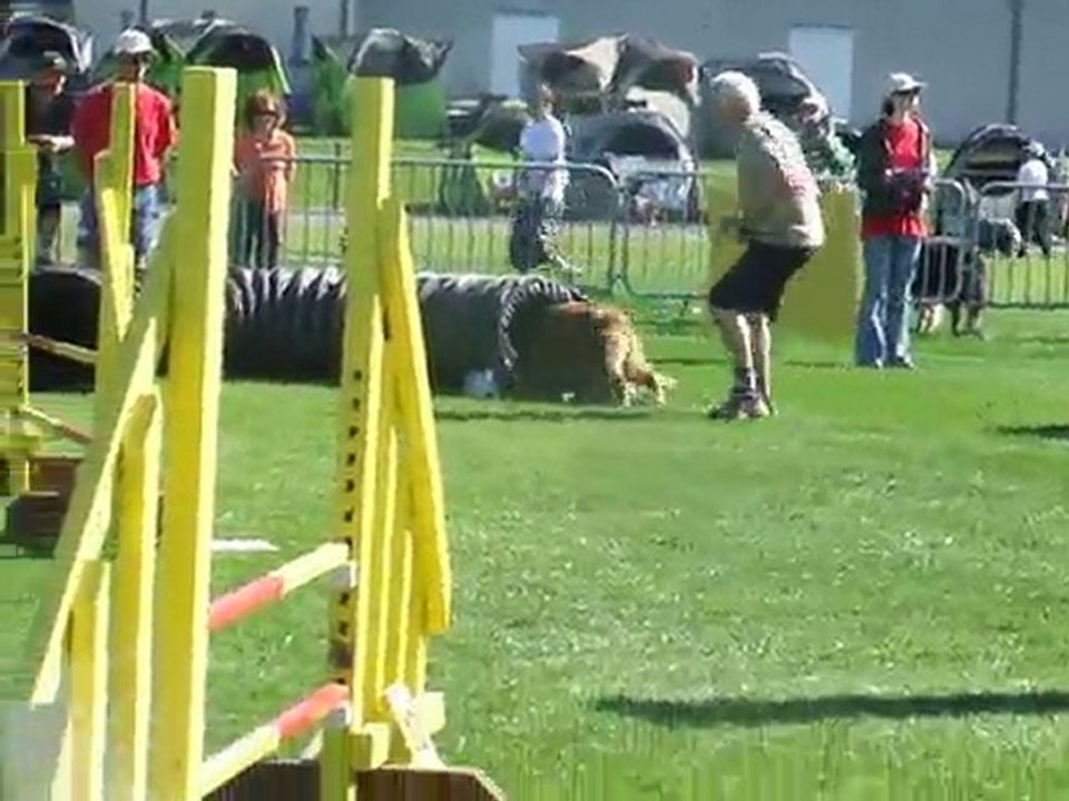 Kyran agility 1 Trophée par équipe Limoges 2010
