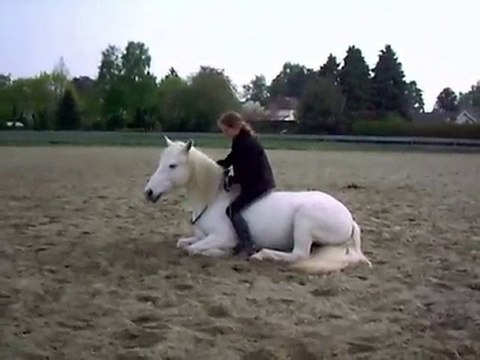 travail à pied avec Mayoa 09 mai 2010