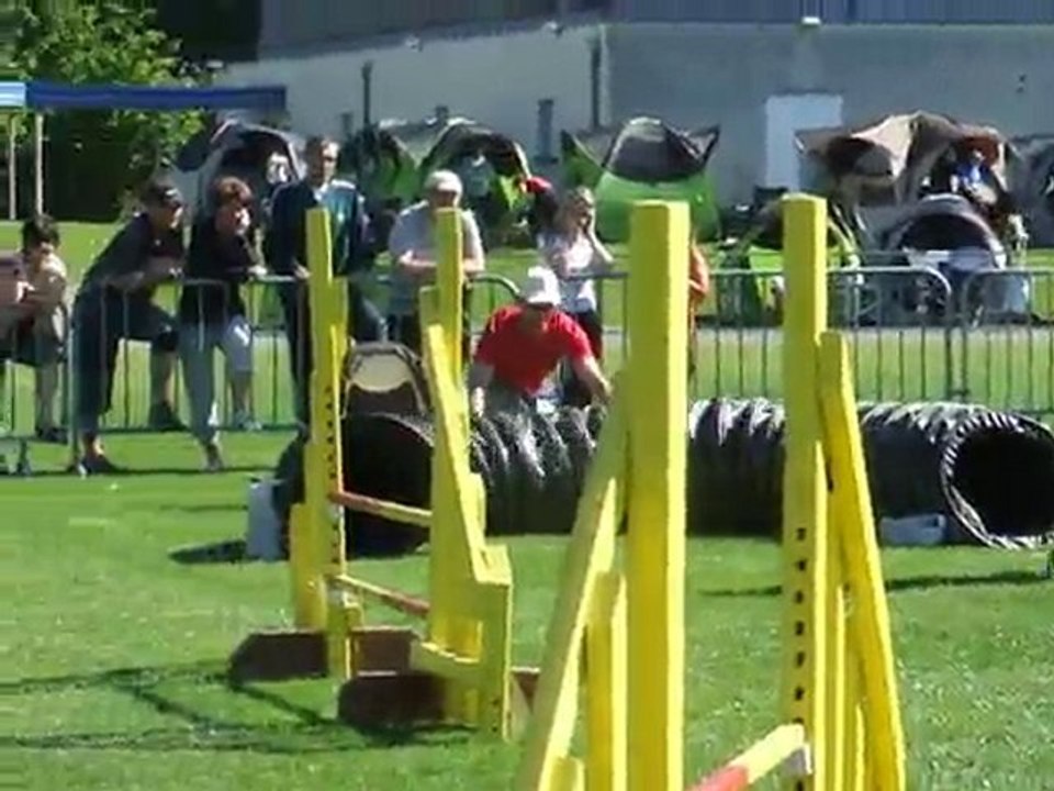 Cayenne agility 1 Trophée par équipe Limoges 2010
