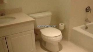 Sample Allston Apartment Bathroom In Boston Ma
