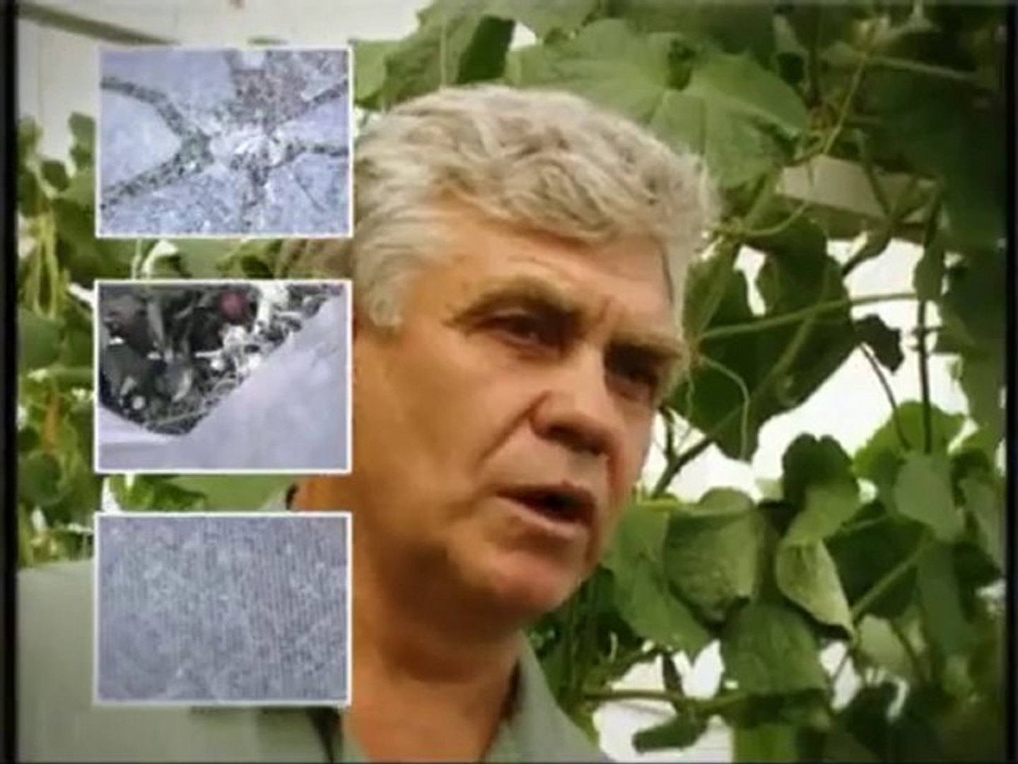 ПОЛИКАРБОНАТ для теплиц