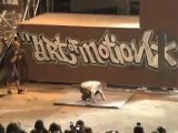 Art Of Motion 2010 - Parkour   Freerunning