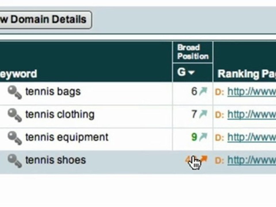 Easily Track Your Web Site Ranking