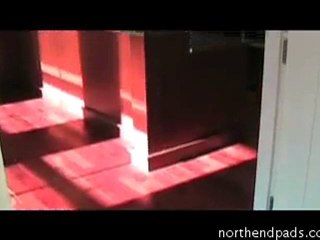 Unbelievable North End Apartment For Rent