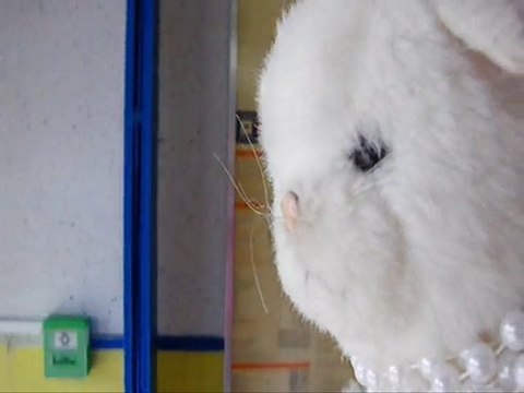 Le Bon, la Bête et le Truand BA9