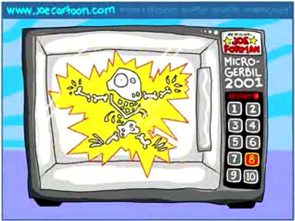 Gerbil in a microwave