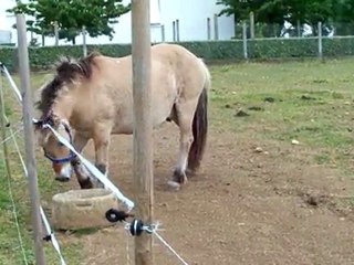 arrivée de OSLO le 25 mai 2010