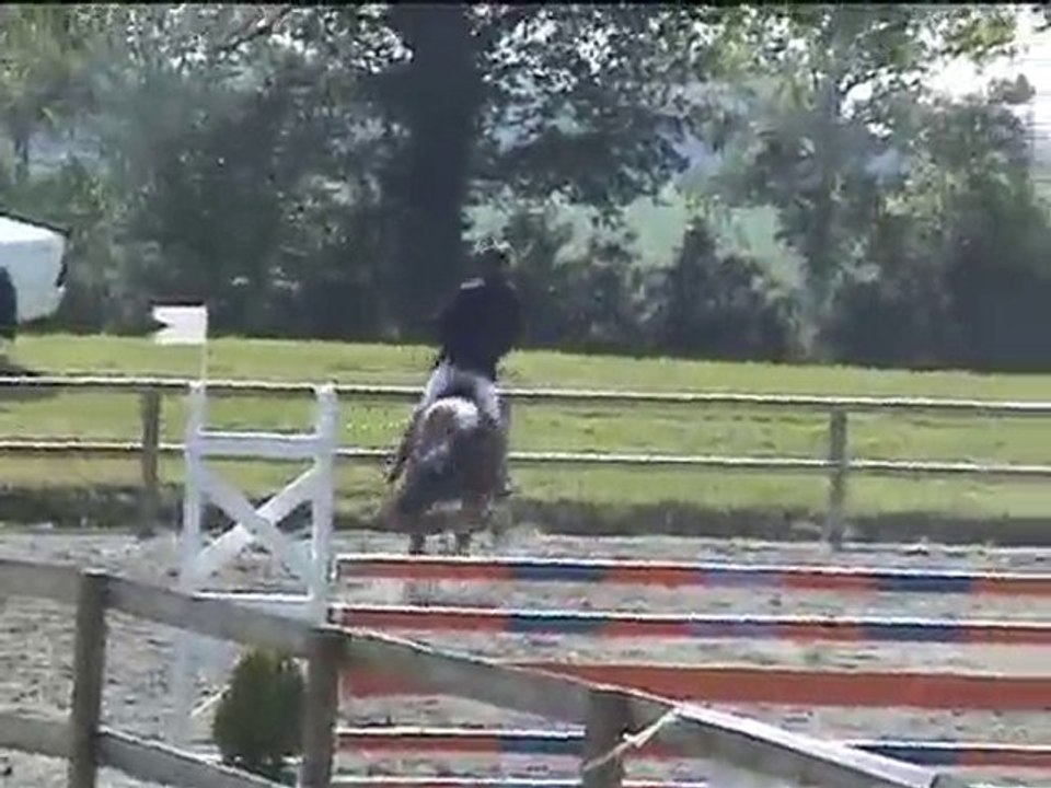 Héric - Météor prépa 1.10m