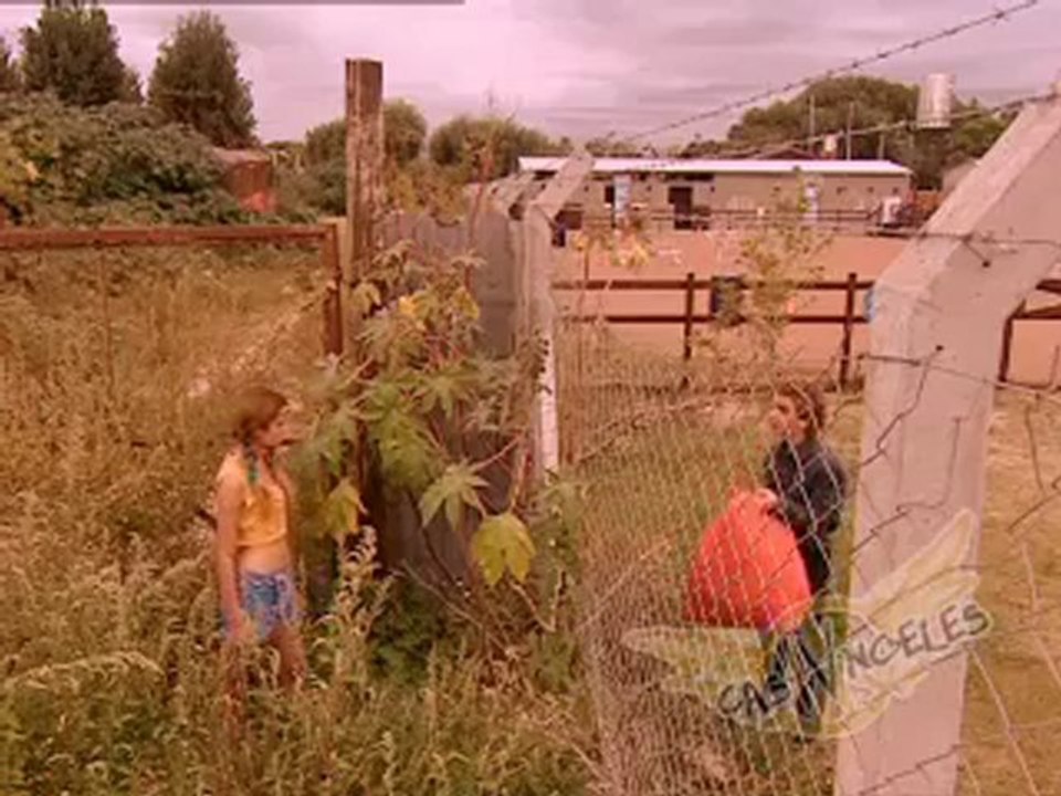 AVANCES CAPÍTULO 26 (ERREWAY2008)